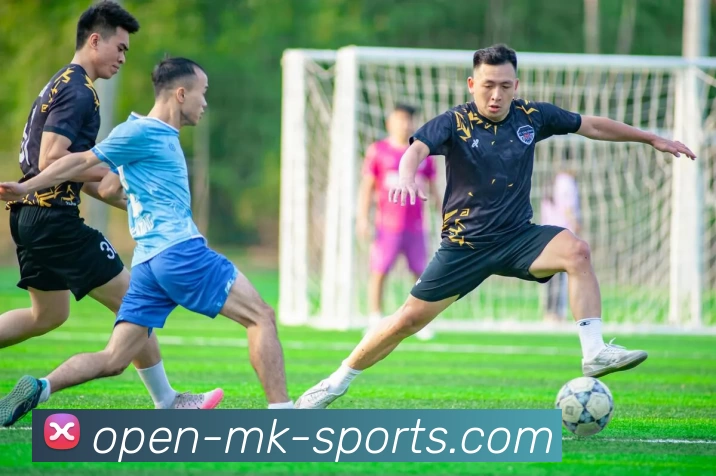 MK体育APP 封面图